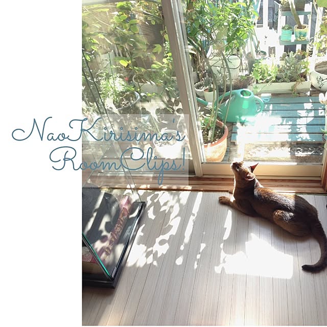 naokirisimaさんの実例写真