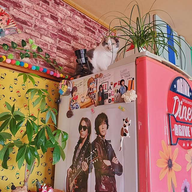 kumutanさんの実例写真