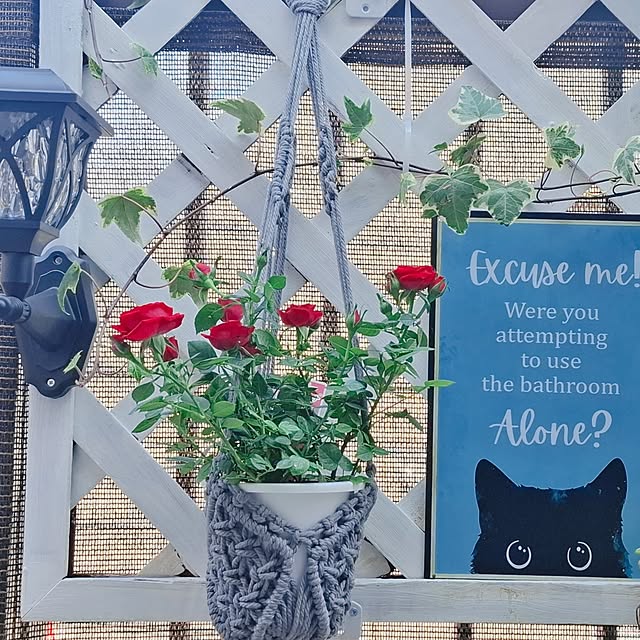 moko.7525himeさんの実例写真