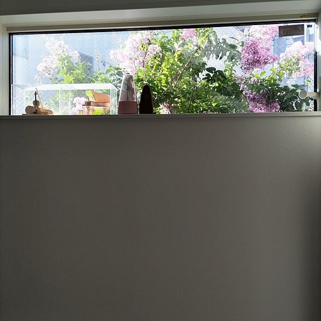 Maroさんの実例写真