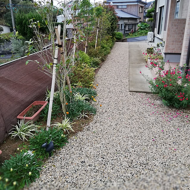 ayanasu.321さんの実例写真