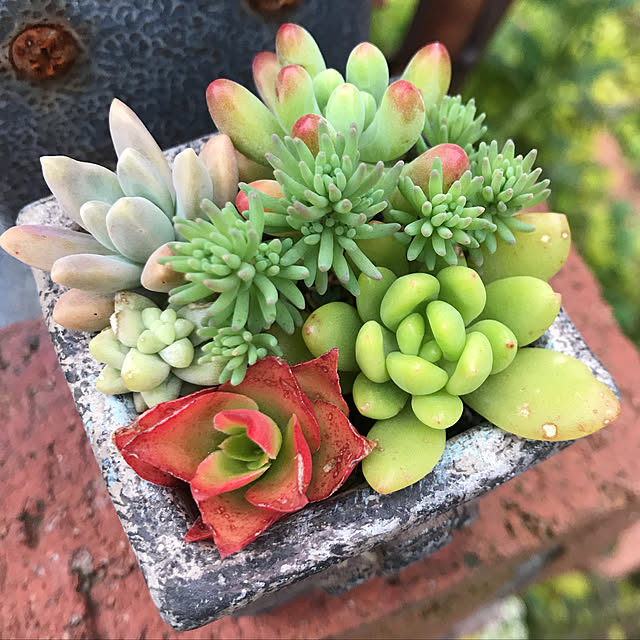 **yuu**さんの実例写真