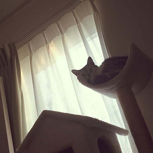 Tomocoさんの実例写真