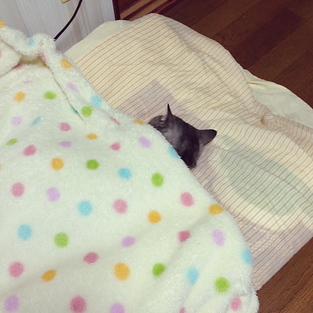 KEYさんの実例写真