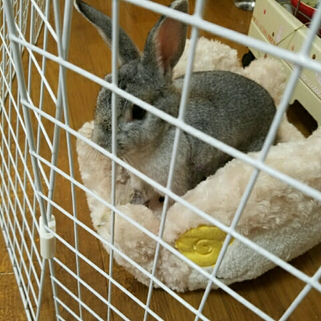 kuri34さんの実例写真