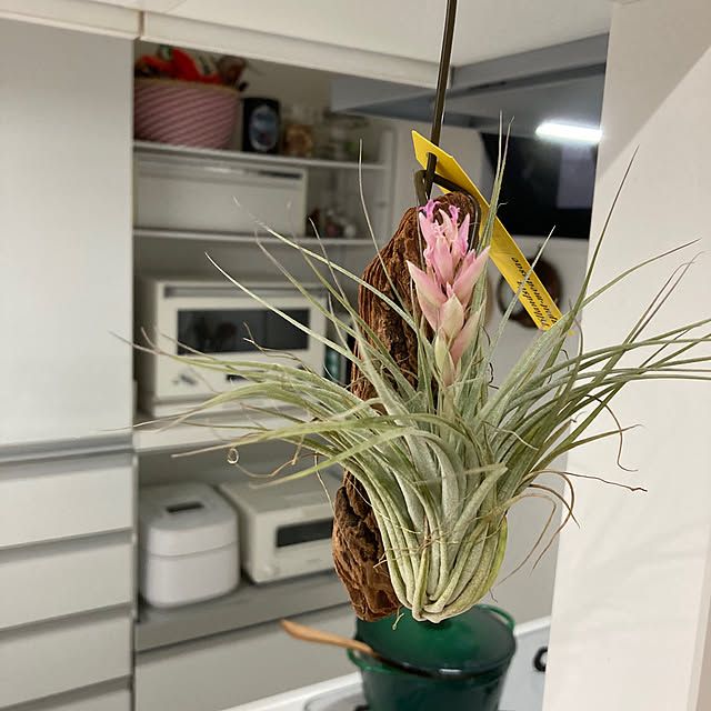 shinさんの部屋