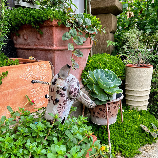 mohhaさんの実例写真