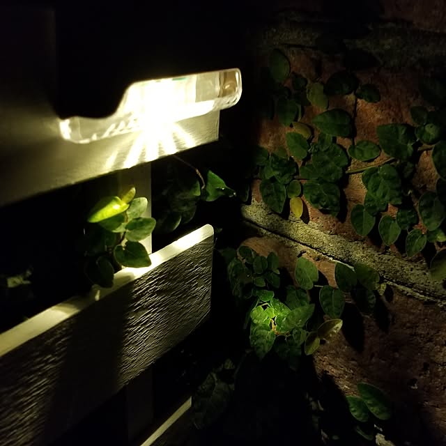 midoriさんの部屋