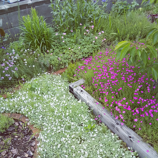 ght0315さんの実例写真
