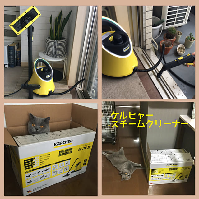 kittyさんの実例写真
