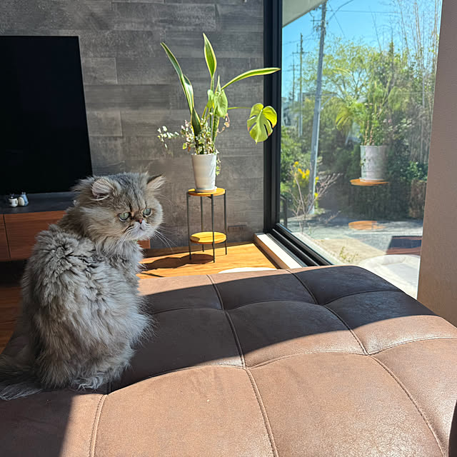Mokunaさんの実例写真