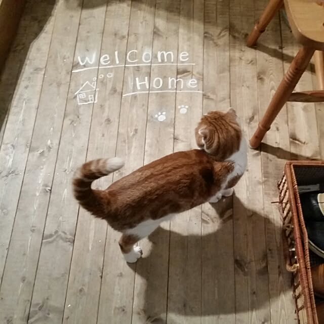mikiさんの実例写真