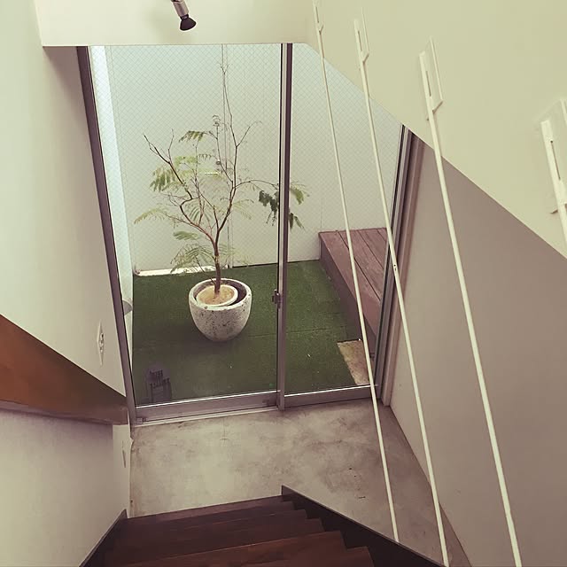 ベッド周り/観葉植物/IKEAのインテリア実例 - 2016-09-14 14:28:44
