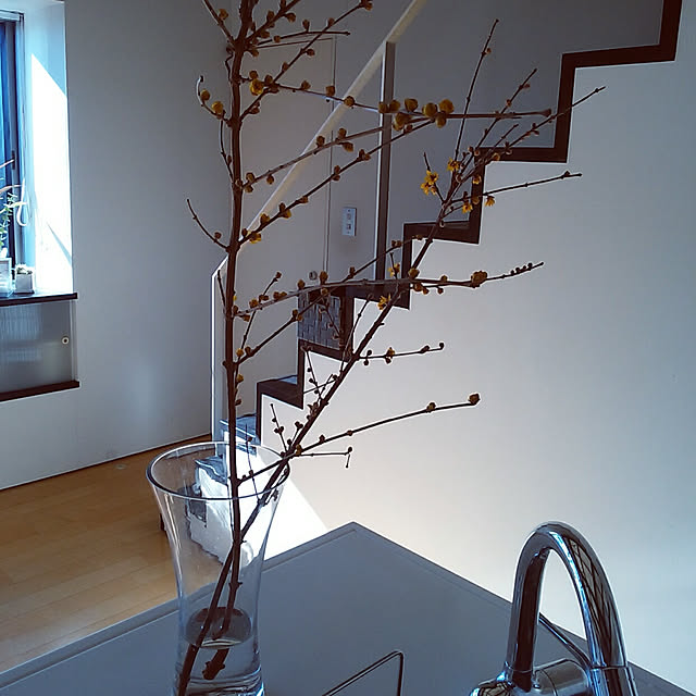 kousanaさんの実例写真