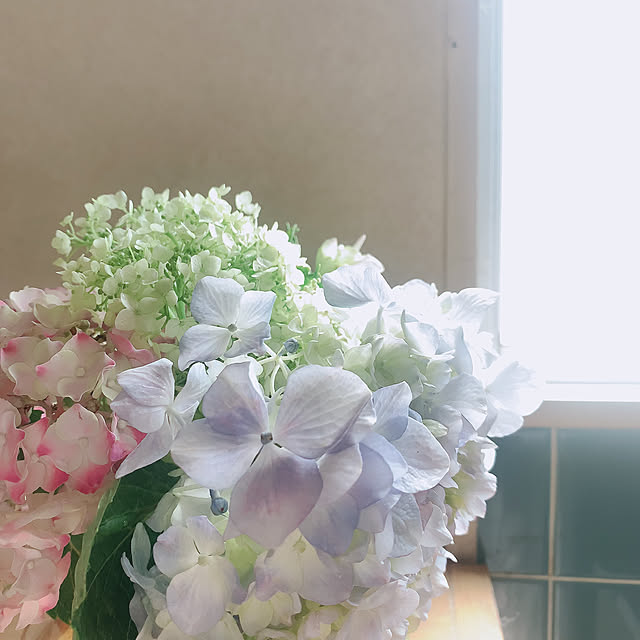 nao.roomさんの部屋