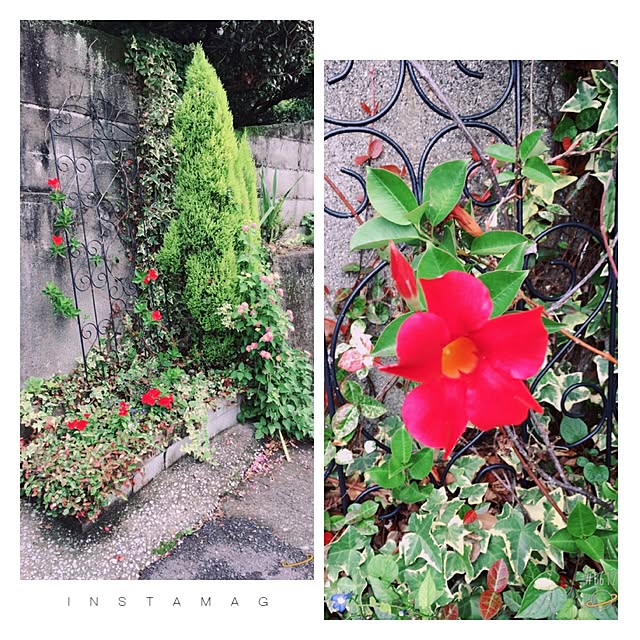 ema_panさんの実例写真