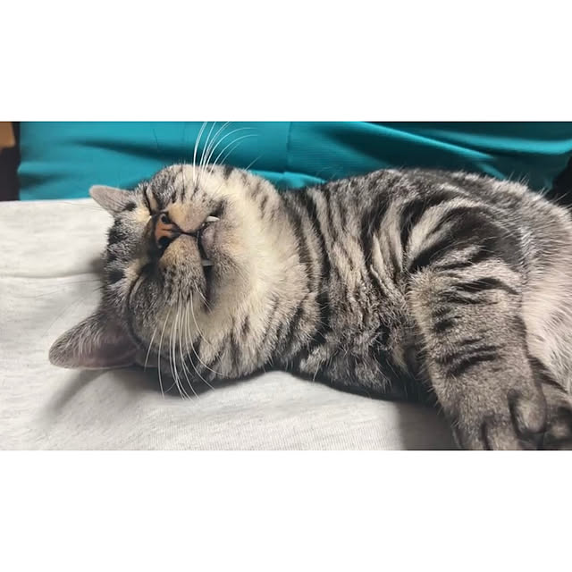 yumiさんの実例写真