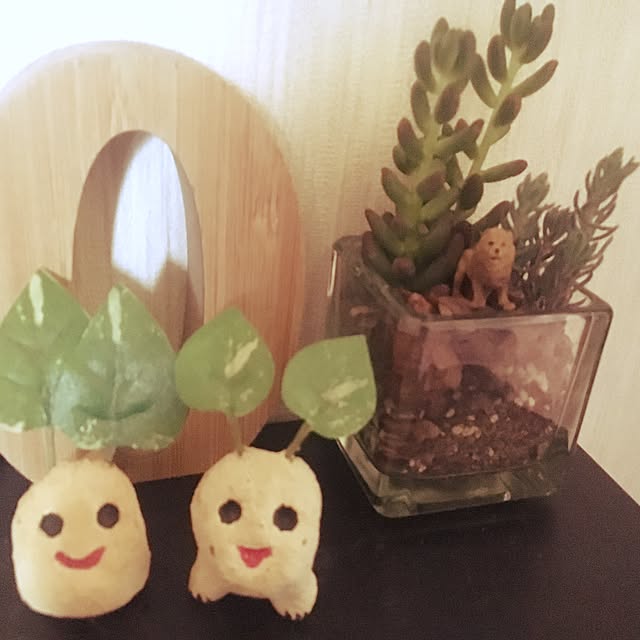 arigatomamireさんの実例写真