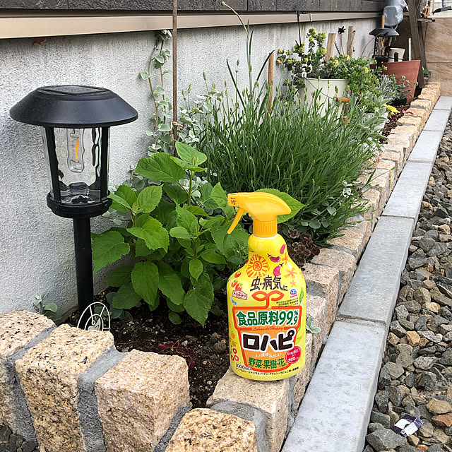 kanaさんの実例写真