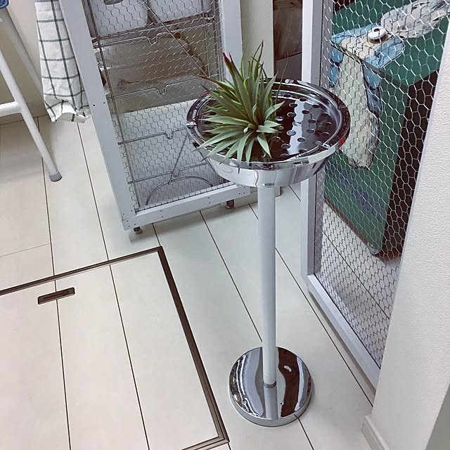 Mopmamaさんの実例写真