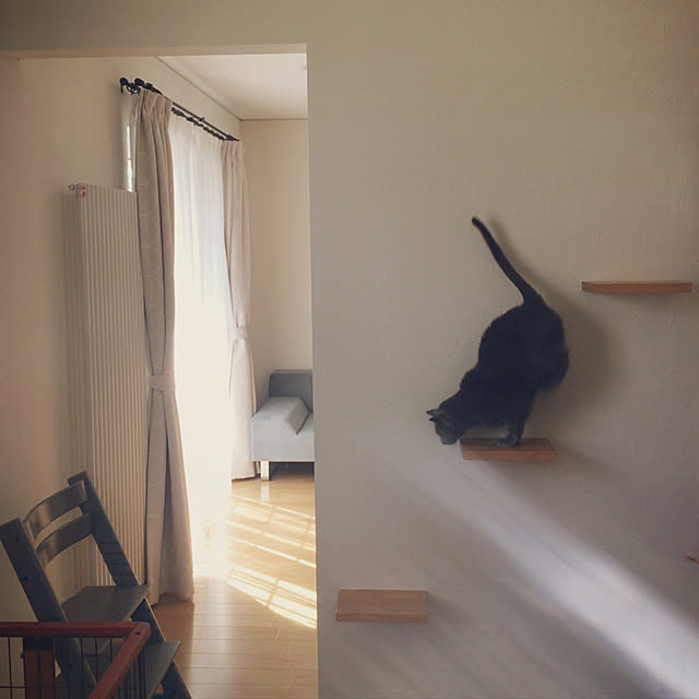 apiさんの実例写真