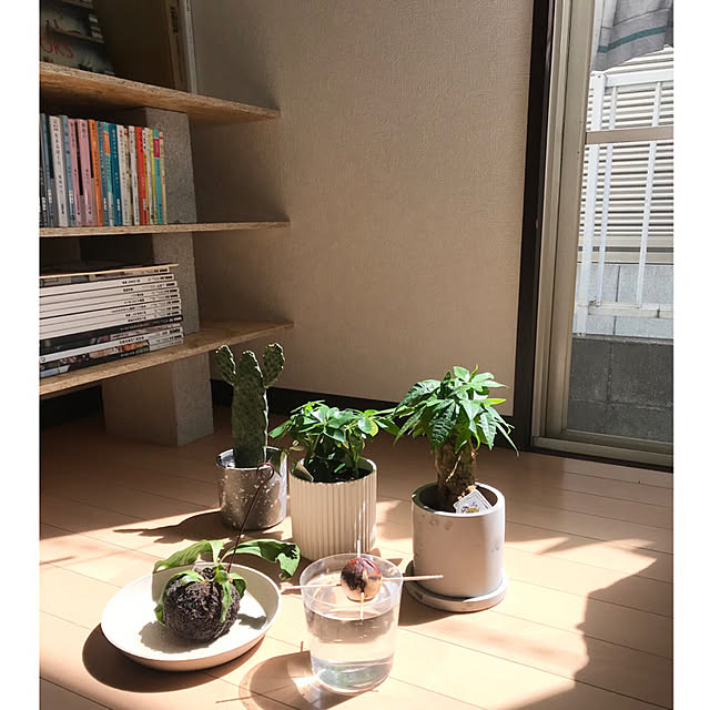 kkc8さんの実例写真