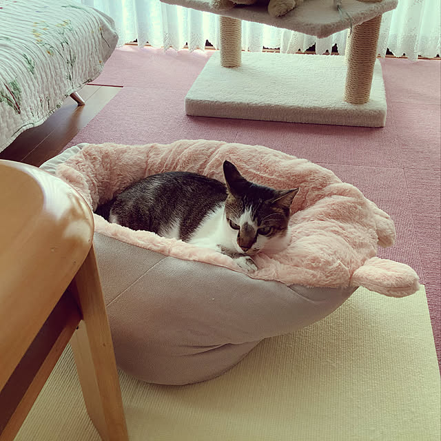 haruminさんの実例写真