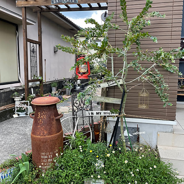 mayumiさんの部屋