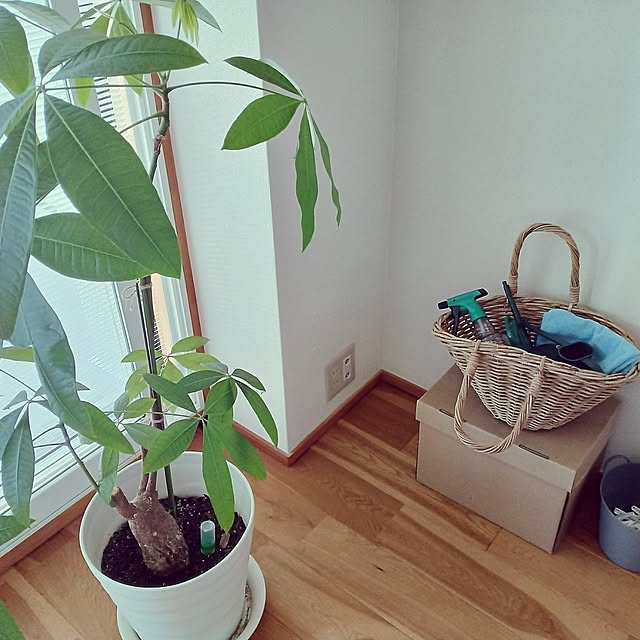 aiさんの部屋