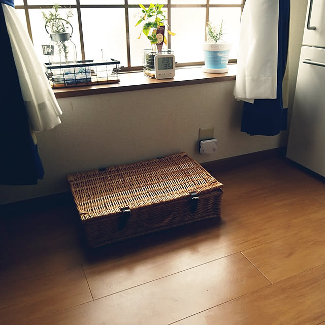 MINIさんの実例写真