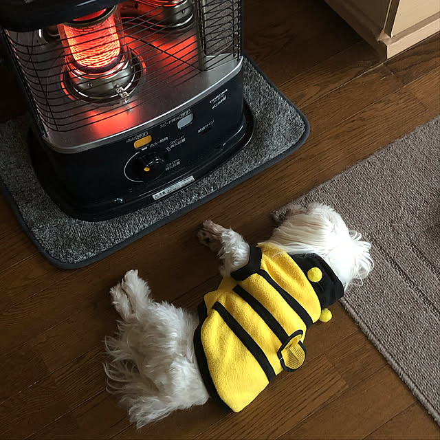 pino1227さんの実例写真