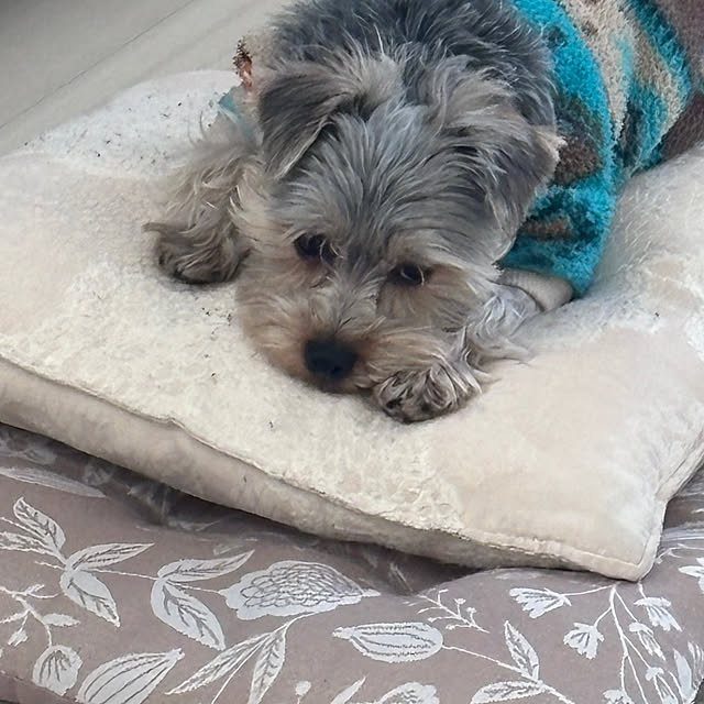 oceanさんの部屋