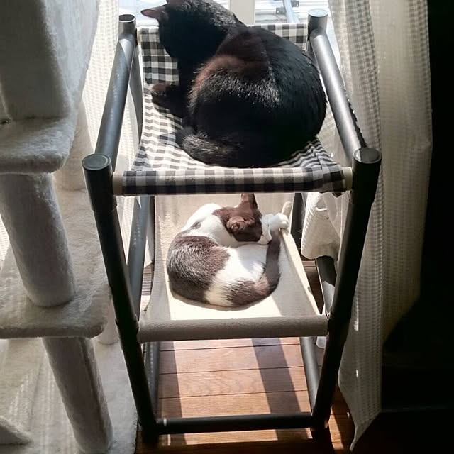 mahi1101さんの実例写真