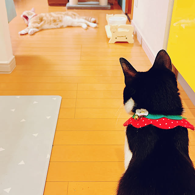 moolさんの部屋