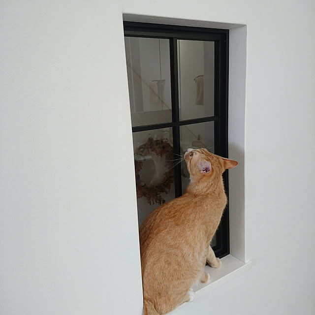 poteさんの実例写真