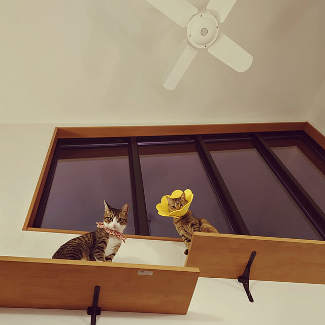 mochicoさんの実例写真