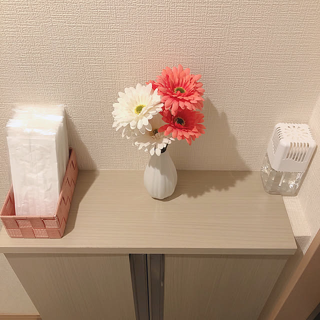 RanRanさんの実例写真