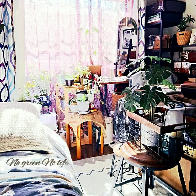 carollcarさんの実例写真