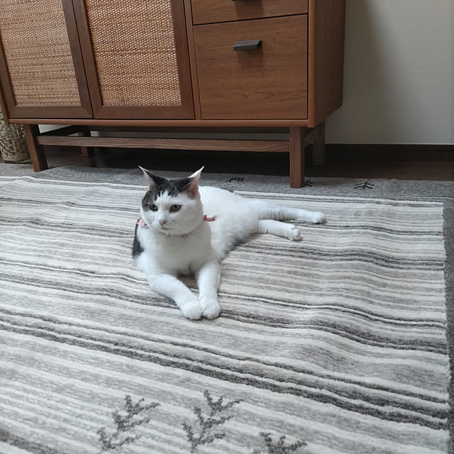 yuuさんの実例写真