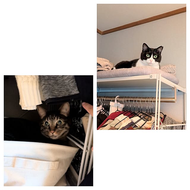 hihaさんの部屋