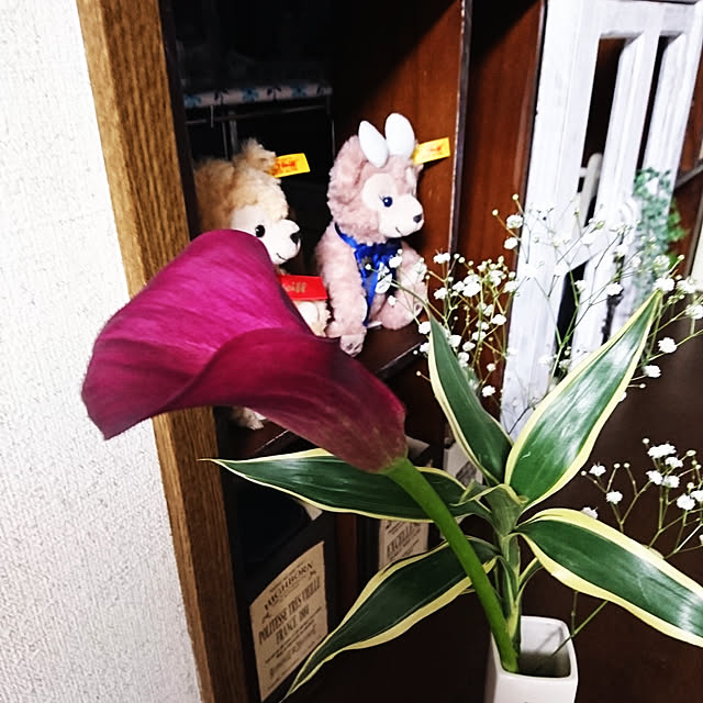 todorinkoさんの実例写真
