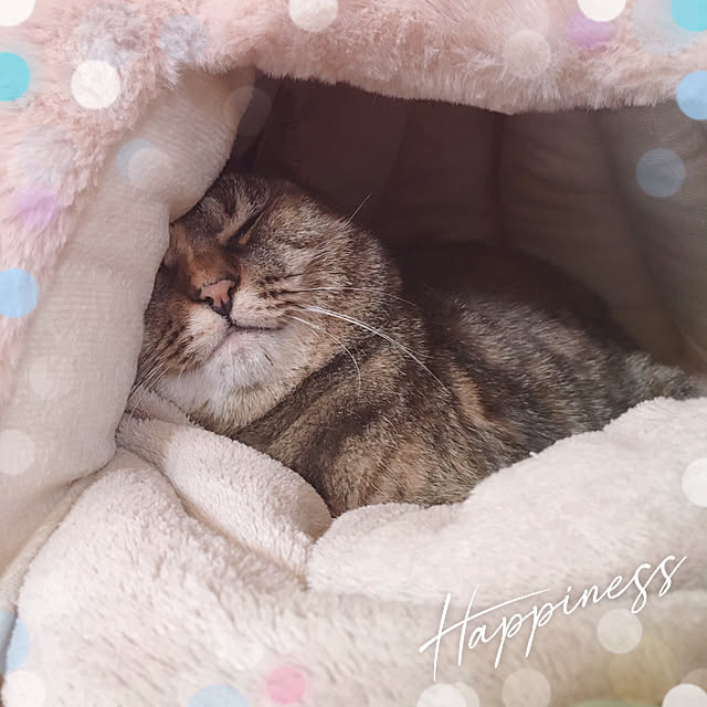 oasisさんの実例写真