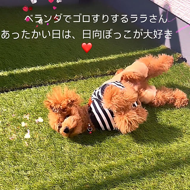 makiさんの実例写真