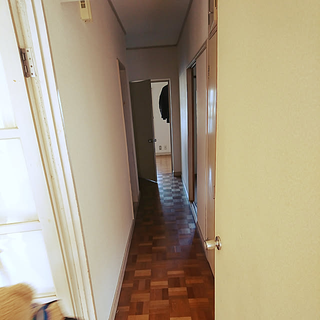 miichamaさんの実例写真
