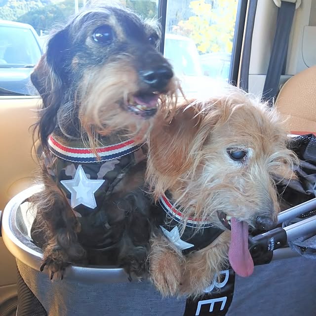 chocococoaさんの部屋