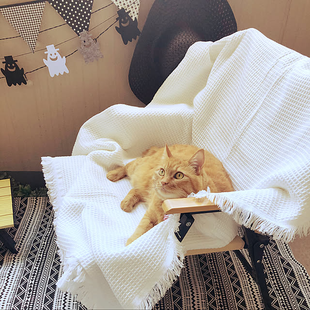 miurunさんの実例写真