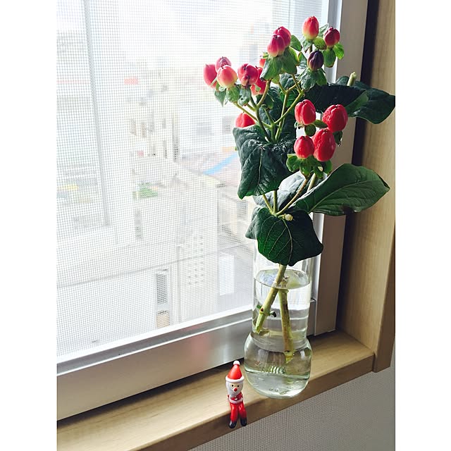 moryayaさんの実例写真