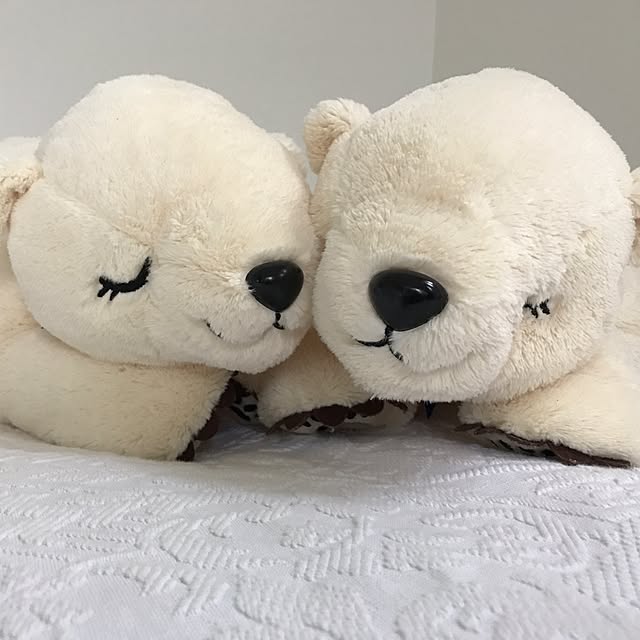 t_pinky0665さんの実例写真