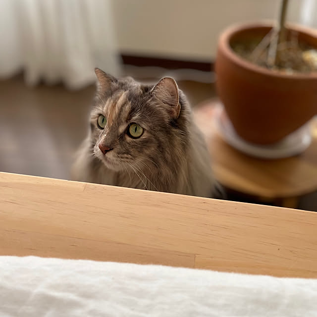 justyさんの部屋