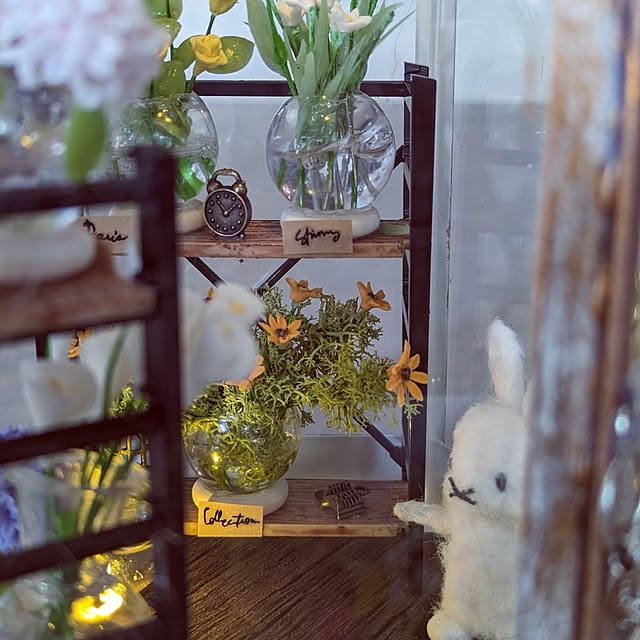 noahさんの部屋